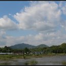 효촌1리 이미지