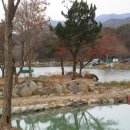 자연생활농원