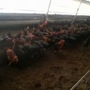 장학순농장 이미지