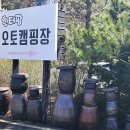 한터팜오토캠핑장 | 경기도 키즈캠핑장 '한터팜 오토캠핑장' 이용 후기 및 사이트 추천