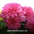 좋은생각