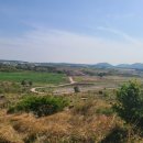 트레이닝팜트리 이미지