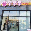 우쭈쭈애견샵 이미지