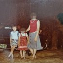 한정수(개인) 이미지