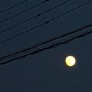 쨍하고회뜰날 이미지