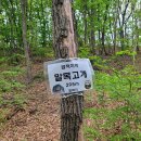방하목 이미지