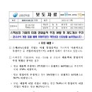 스팩상장 기업의 미래 영업실적 추정 현황 및 제도개선 추진 이미지