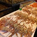 죽도회타운 이미지