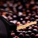 글라스 나인 이미지