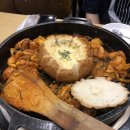 미즈멍 강아지분양 구미점 | 너에게 난 해질녘 노을처럼