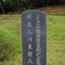 (문신, 화가) 죽창 심정주, 공인 하동정씨 -청송심씨, 조선후기 화가-