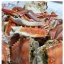 선희채소