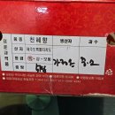 [4.1~4.30] 체감상 1년 중 가장 즐거운 달