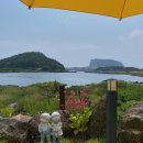 오조숙녀sea 이미지