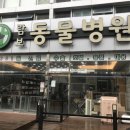 반석동물병원 이미지