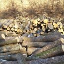 신석농장 이미지