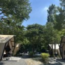 충주 타임투스테이 글램핑장 후기