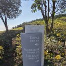 우리들리조트제주(대중형 18홀) | 바람과 함께한 제주 볼카노cc 라운딩 후기