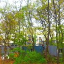 도암초등학교 이미지