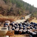 정우부동산랜드공인중개사사무소 | 전남 고흥군 포두면 상포리(깃대봉자락 상포마을 구제골)전원별장용주택 계획관리지역 가축사육제한구역...