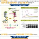 수원24시 바른동물의료센터 이미지