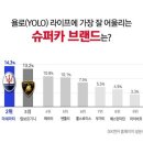 욜로 이미지