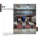 아프리카 안경 | [용산 아이파크 몰] 가성비 짱 다초점전문 아프리카안경 내돈내산 후기