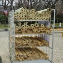 한국천막공사 | [ 나고야 여행 ] 2026 나고야성 벚꽃 축제 후기 + 개화현황, 먹거리, 프로그램 정보