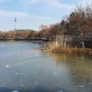 나무테크 이미지