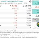 [ 하와이 코로나19 '주간' 방역상황 :: 2022년 7월 6일 발표 ] 신규.누적확진 / 평균 확진자.확진률 /사망률.사망자수.. 이미지