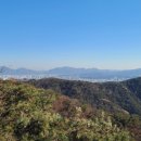 파란행정사 이미지