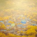 하늬바람 이미지