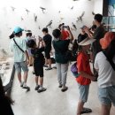 제주대학교 야생동물구조센터 한국강사신문