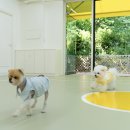 헬로우버디 이미지