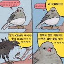 누리호 위성용 로켓 맞지? 이미지