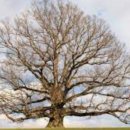 산하소소 이미지