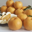 장터농장 이미지