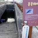 이호테우 비치해변 이미지