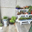 오리엔트펜션 이미지