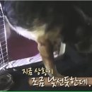 레오의집