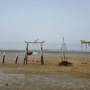 사진을 찍다 이미지