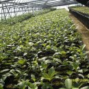 송평농장 이미지