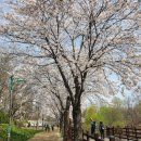 수원-1732 이미지