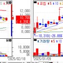 2/17(월) 장 마감 관심종목 이미지