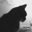 아른아른