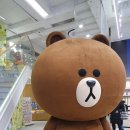 트윙클앤어스 | 강남 가볼만한곳 놀거리 라인프렌즈스토어