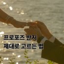 창원 호텔 프로포즈 전문 업체 플라워리미가 알려주는 프로포즈 반지 고르는 법