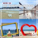 내리 공영주차장 | 인천 애견동반 해수욕장 추천 | 강아지랑 바다 산책하기 좋은 곳