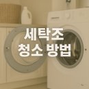 세탁조 클리너 추천 청소 유지 방법 꿀팁