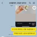 슈망플레르 이미지